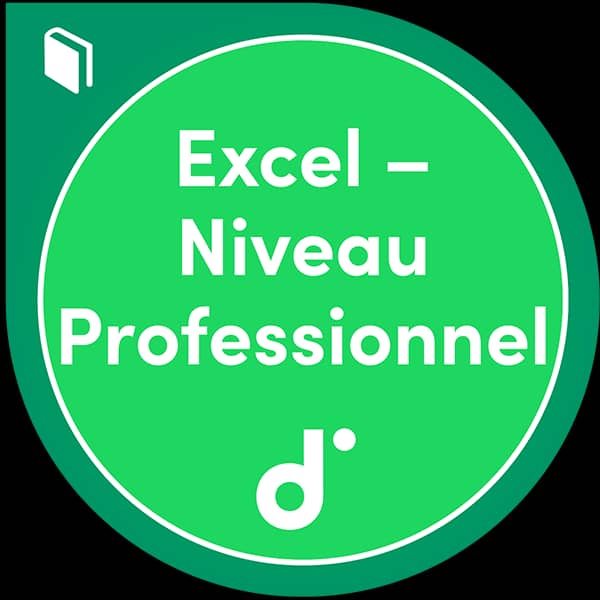 Excel Niveau 3 (Professionnel)